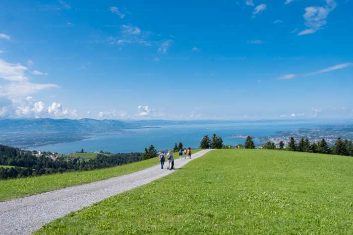 Bodensee-Panorama vom Pfänder