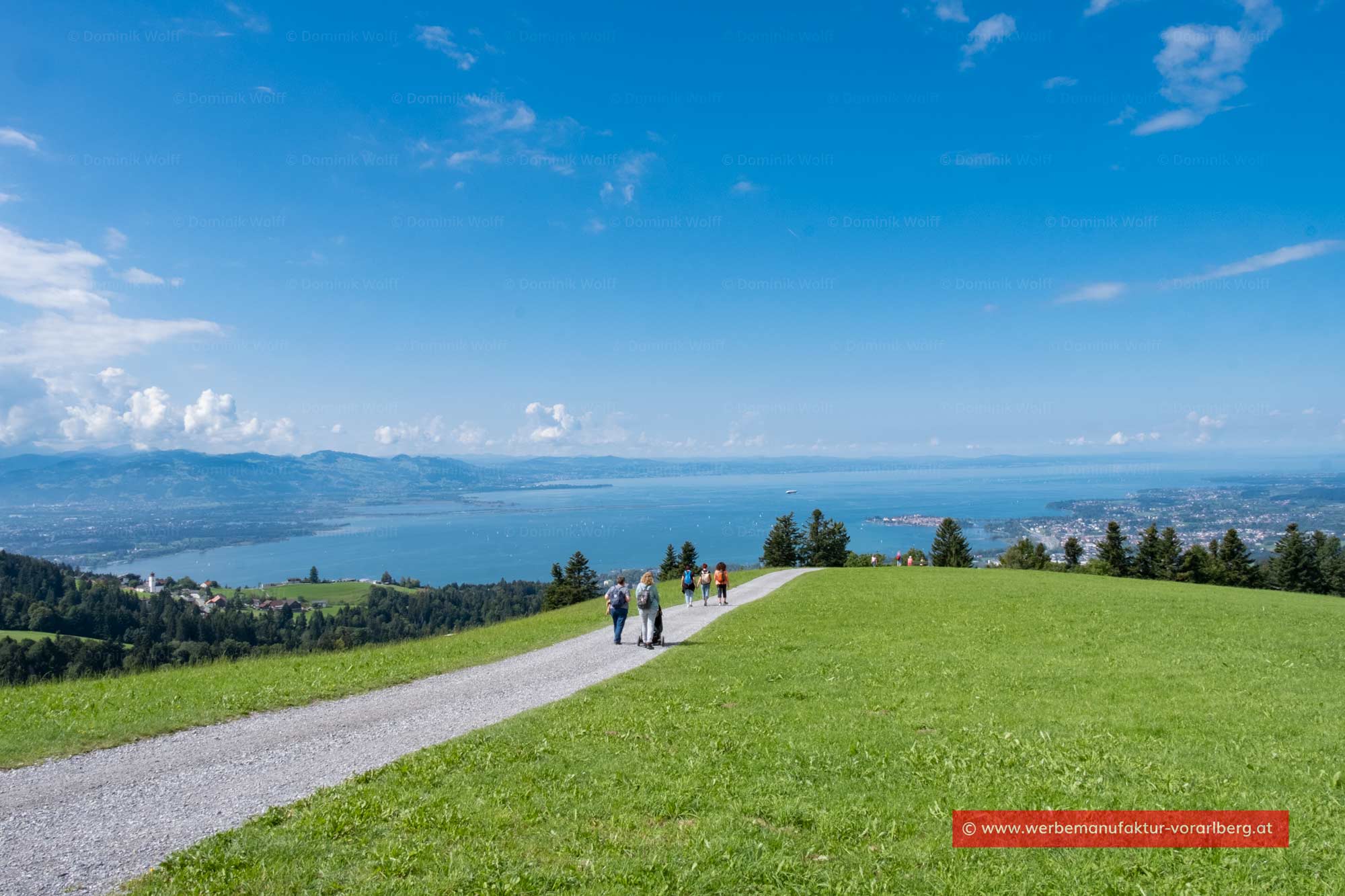 Bodensee-Panorama vom Pfänder