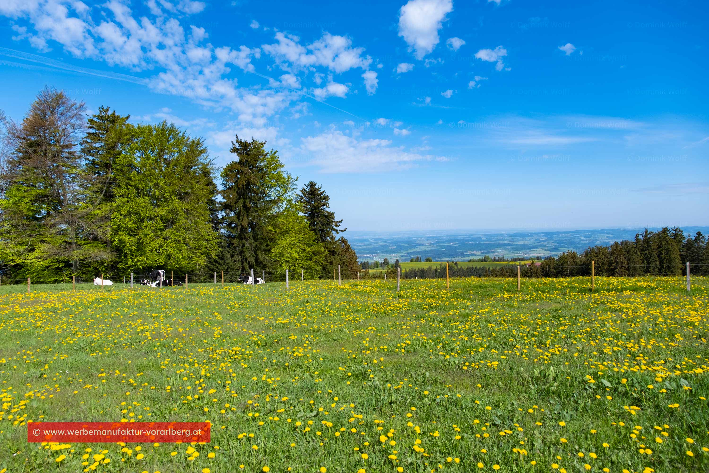 Bild + Foto - Blick auf das deutsche Voralpenland