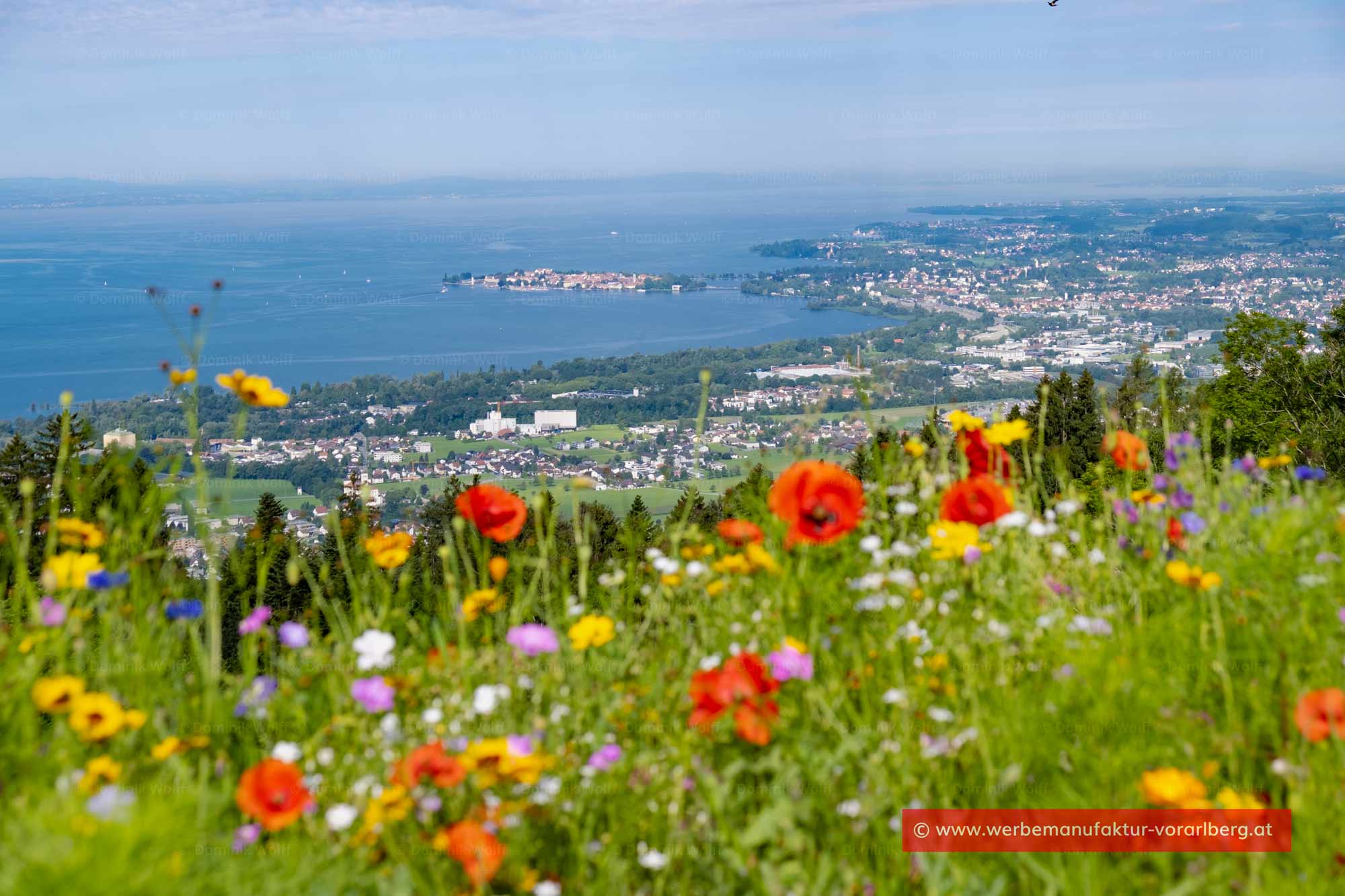 Blick vom Pfänder auf den Bodensee