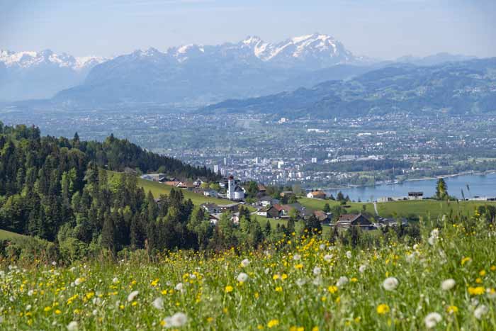 Pfänderblick auf Bregenz