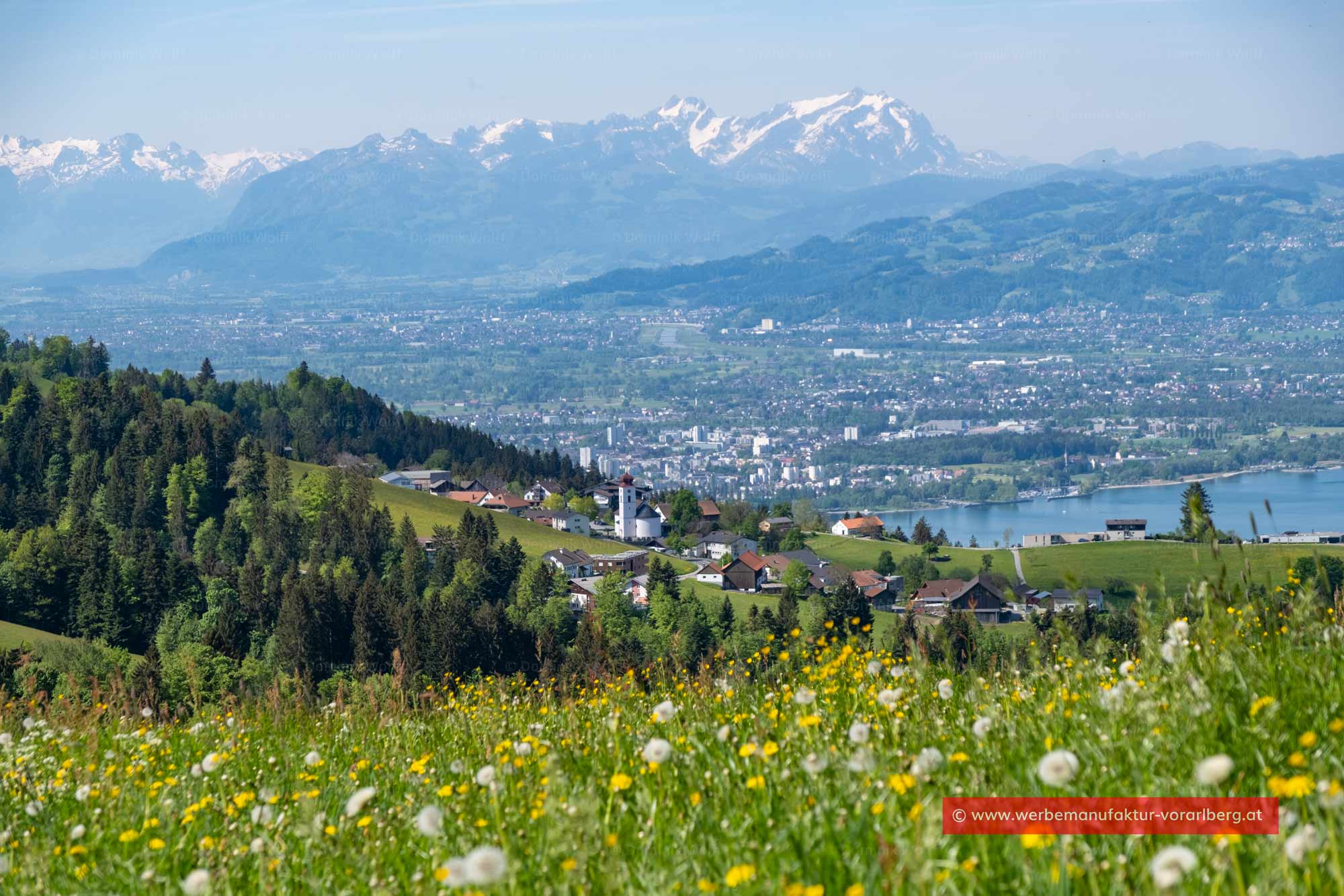 Bild + Foto - Blick vom Pfänder auf Bregenz