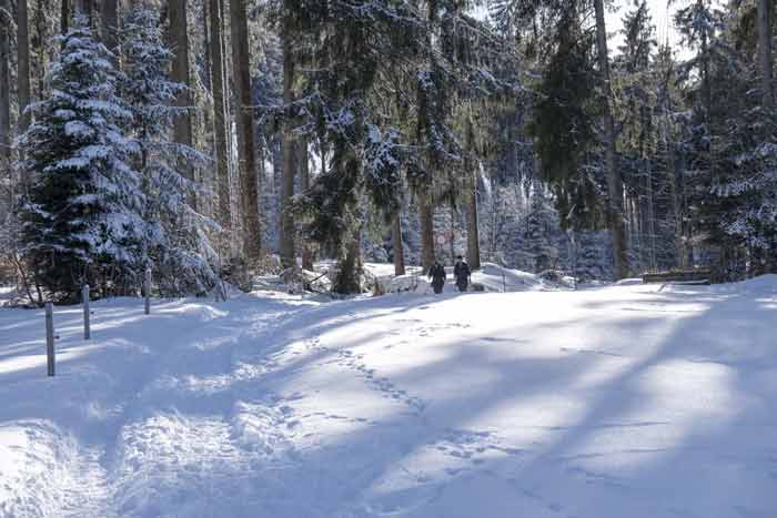 Winterwandern auf dem Pfänderstock