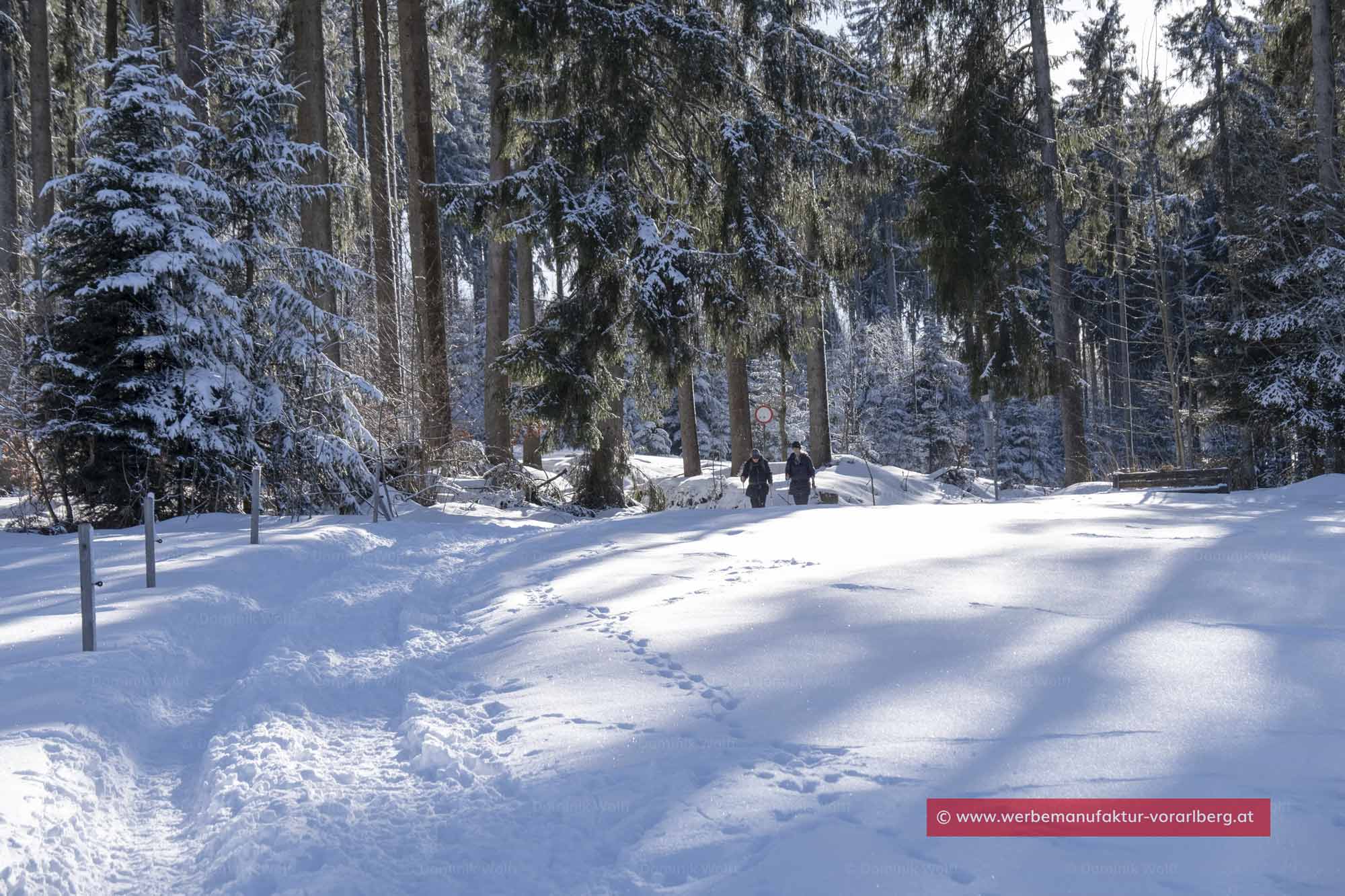 Winterwandern auf dem Pfänderstock