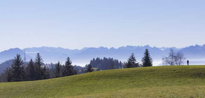 Blick Hochberg zum Pfändergipfel