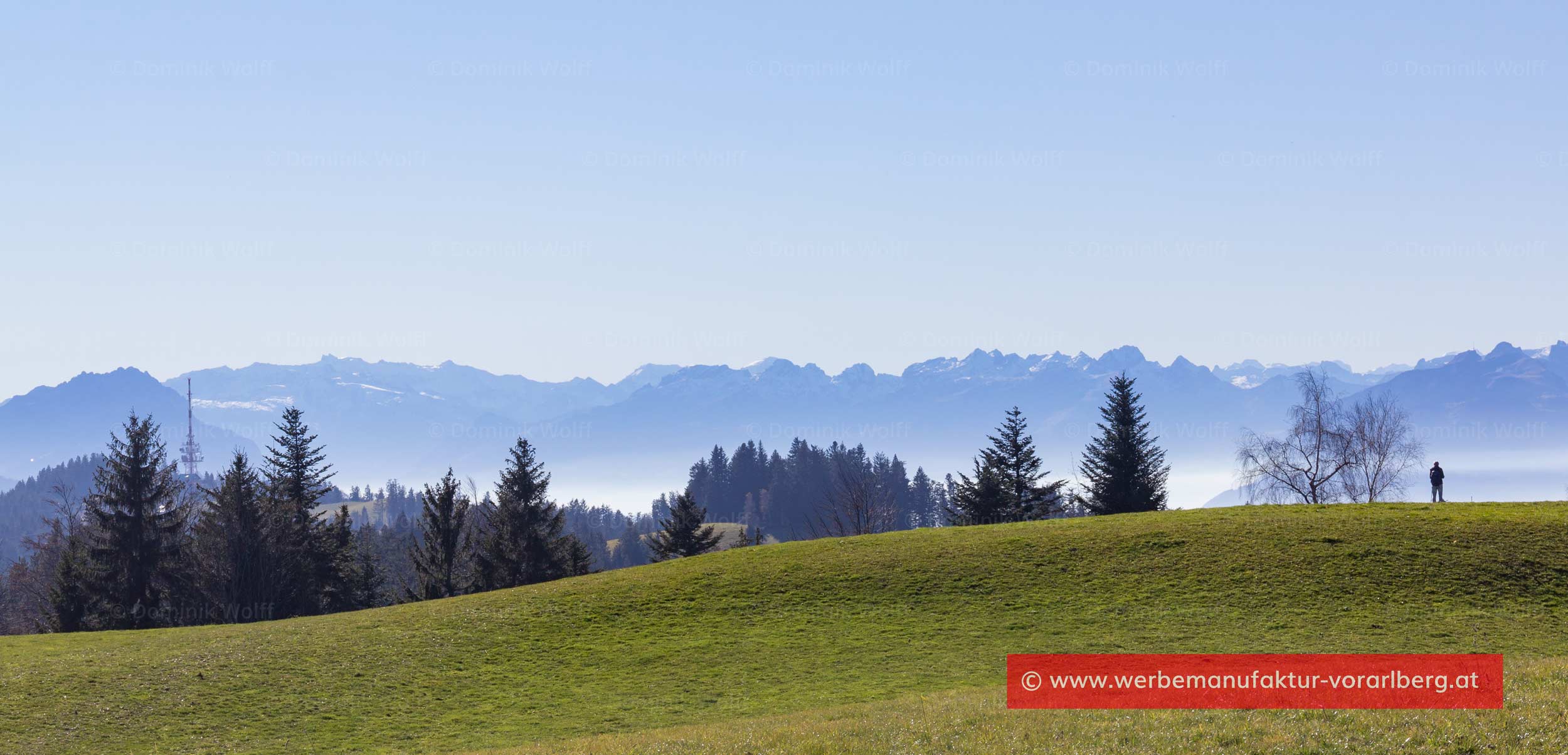 Blick Hochberg zum Pfändergipfel