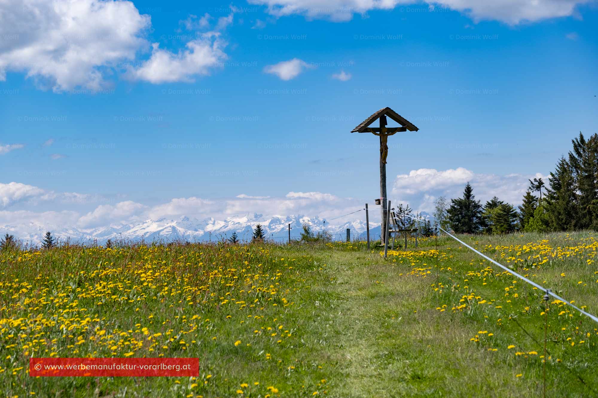 Bild + Foto - Hochberg (Pfänder) und Schweizer Alpen