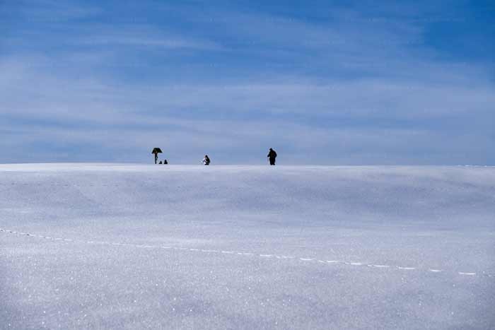 Winter auf dem Pfänder