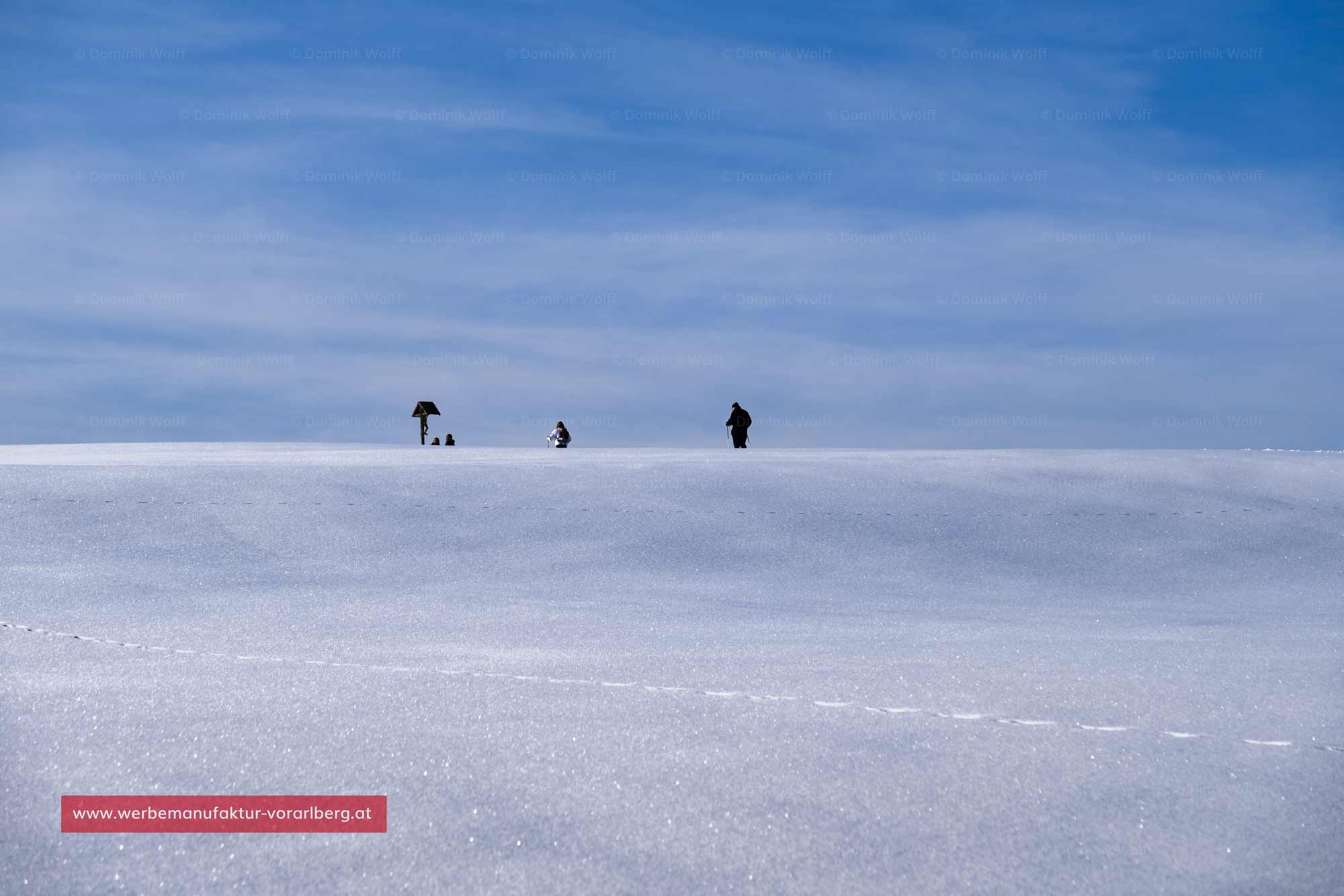 Bild + Foto - Eisiger Winter auf dem Hochberg (Pfänder)