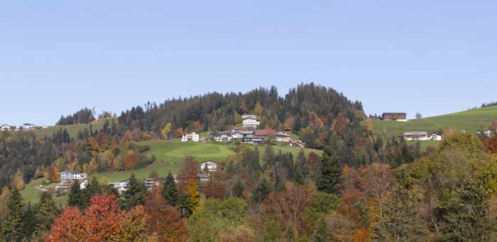 Bergdorf Lutzenreute (Pfänder)