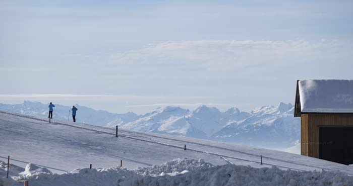 Winterwandern am Pfänder