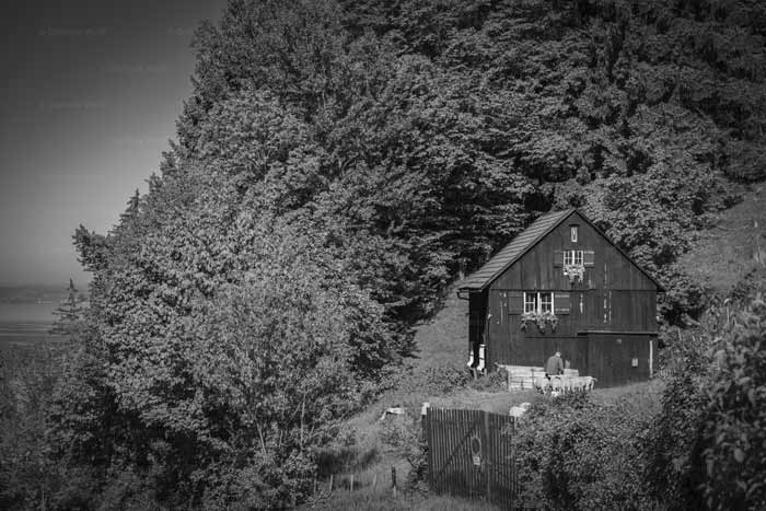 Wanderweg Ruggbach am Pfänder