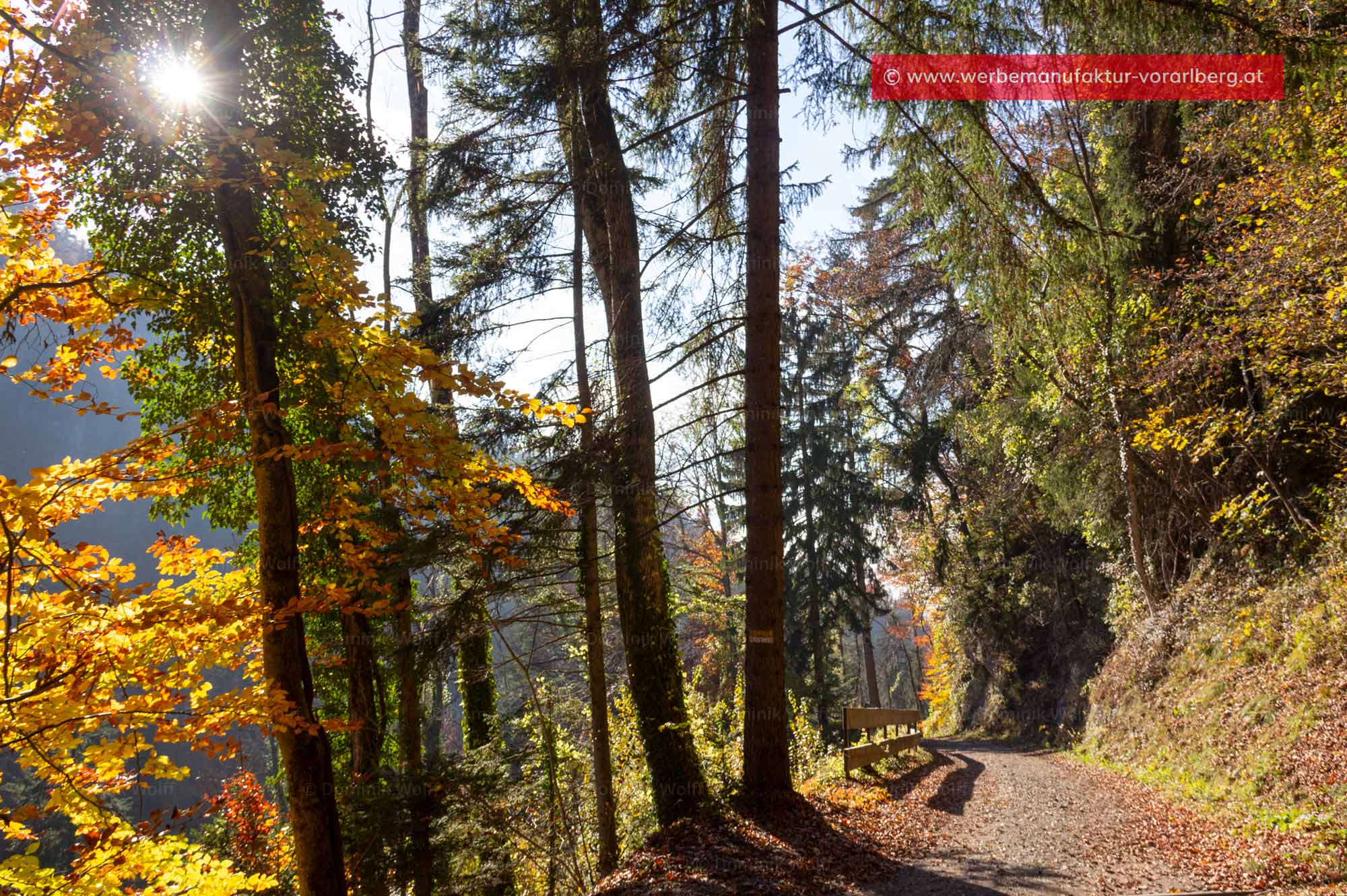 Bild + Foto - Wanderweg und Bergstraße am Ruggbach