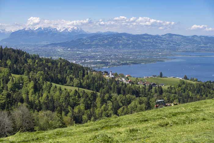 Landwirtschaft auf dem Pfänder