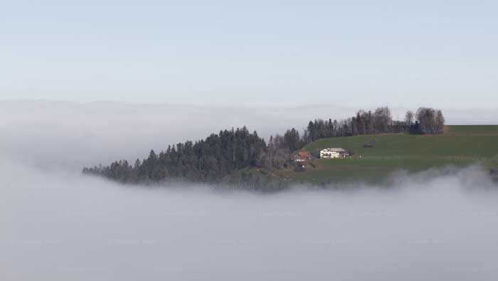 Pfänder über den Wolken