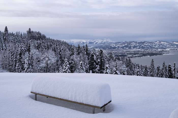 Winter auf dem Pfänderrücken