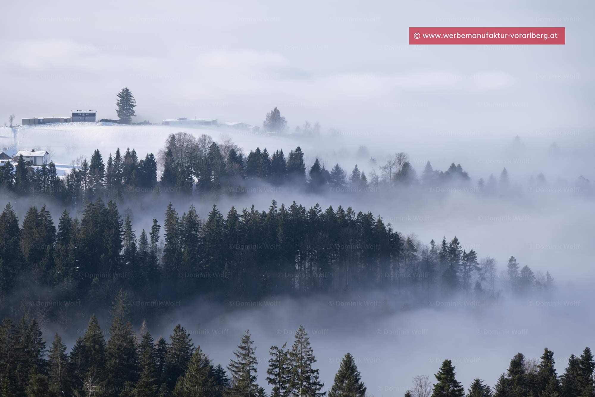 Bild + Foto - Nebel über dem Bodensee