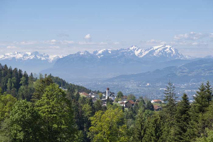 Frühsommer am Pfänder