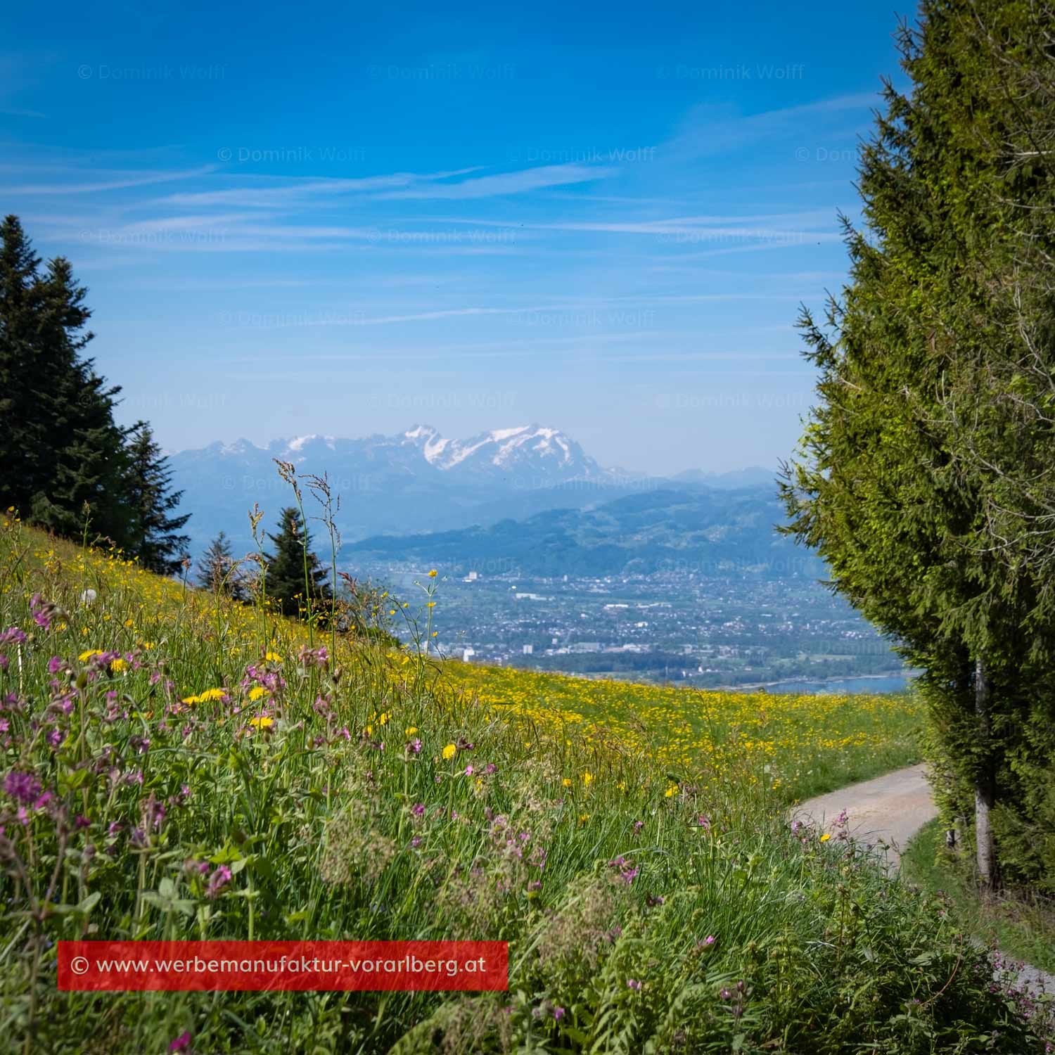 Bild + Foto - Wanderweg Pfänder-Schüssellehen