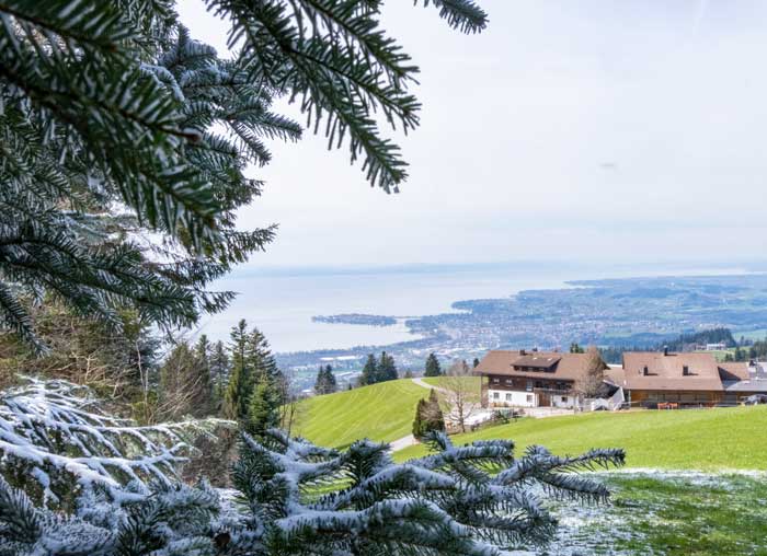 Schneegrenze Pfänder auf 1000 Höhenmetern