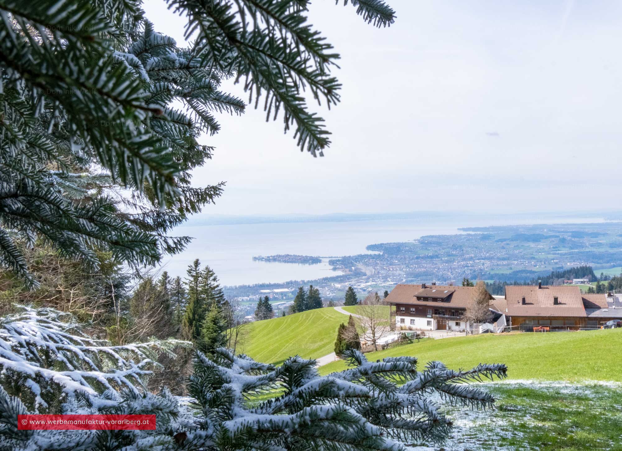 Bild + Foto - Frühjahrsschnee am Fesslerhof (Pfänder)