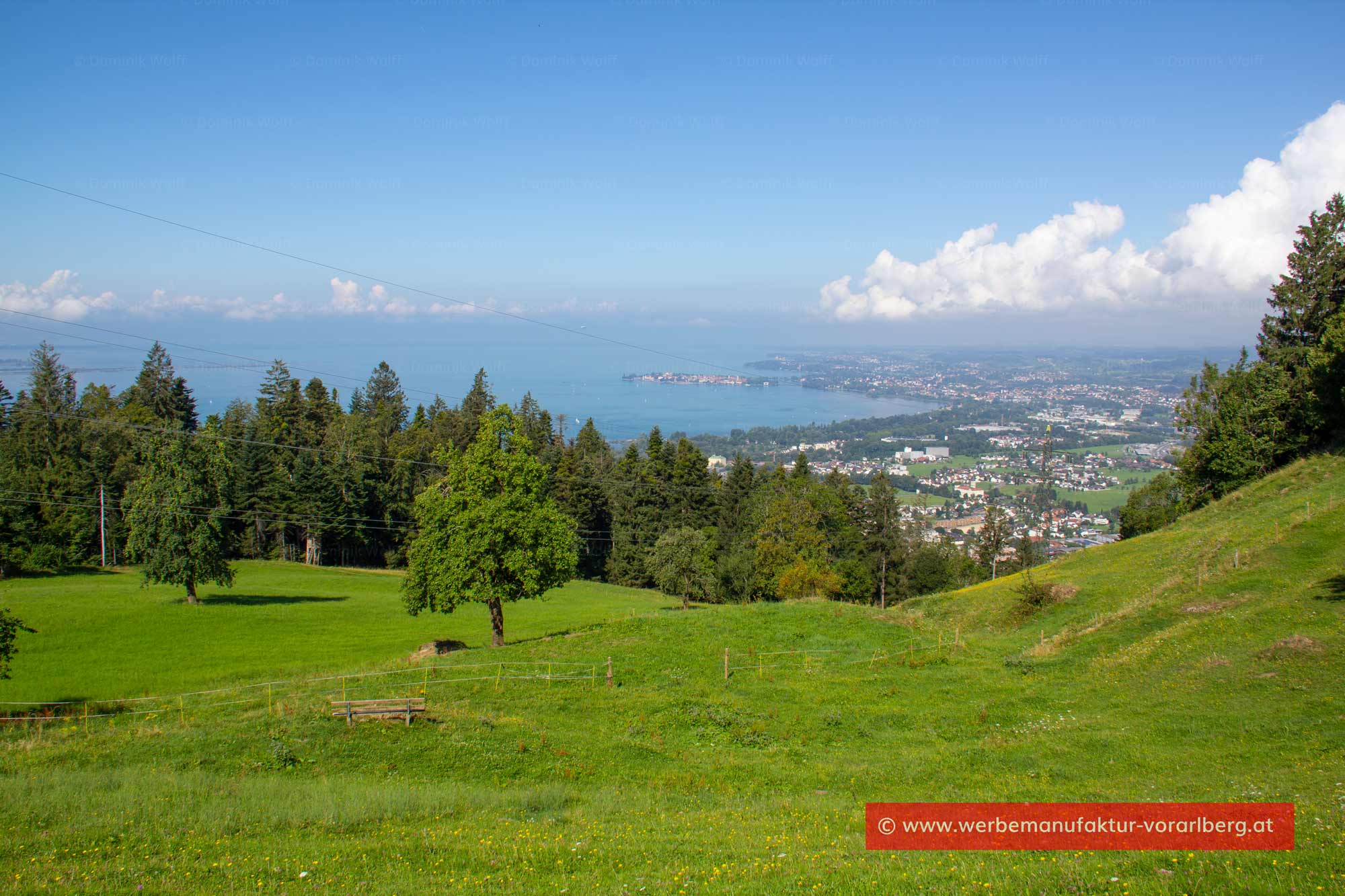 Bild + Foto - Wanderweg Flühlen in Lochau