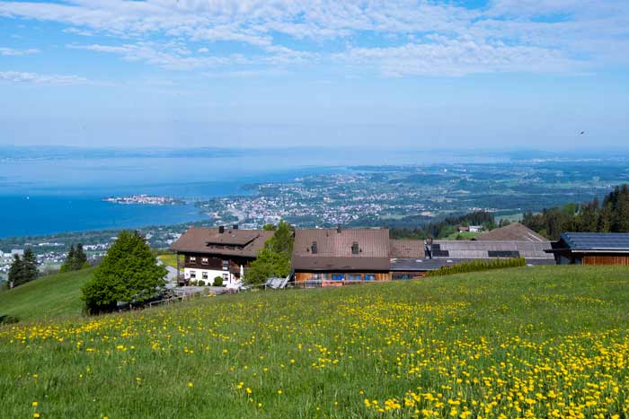 Blick vom Pfänderrücken