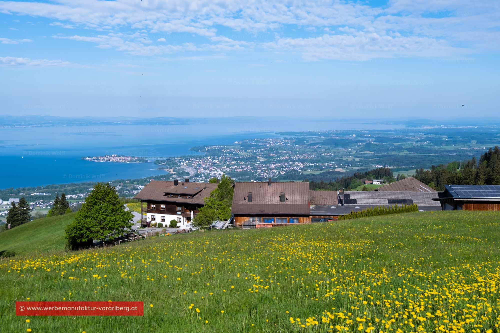 Bild + Foto - Blick von Lutzenreute in Vorarlberg