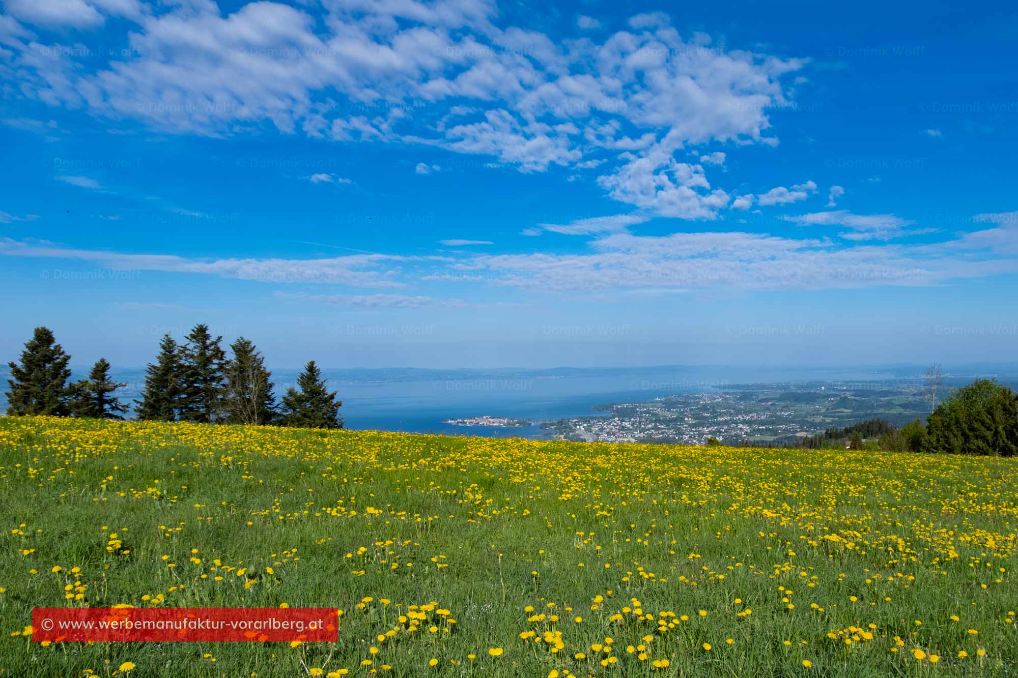 Bild + Foto - Schüssellehen auf dem Pfändermassiv