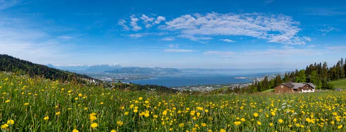 See- und Bergpanorama vom Pfänderstock