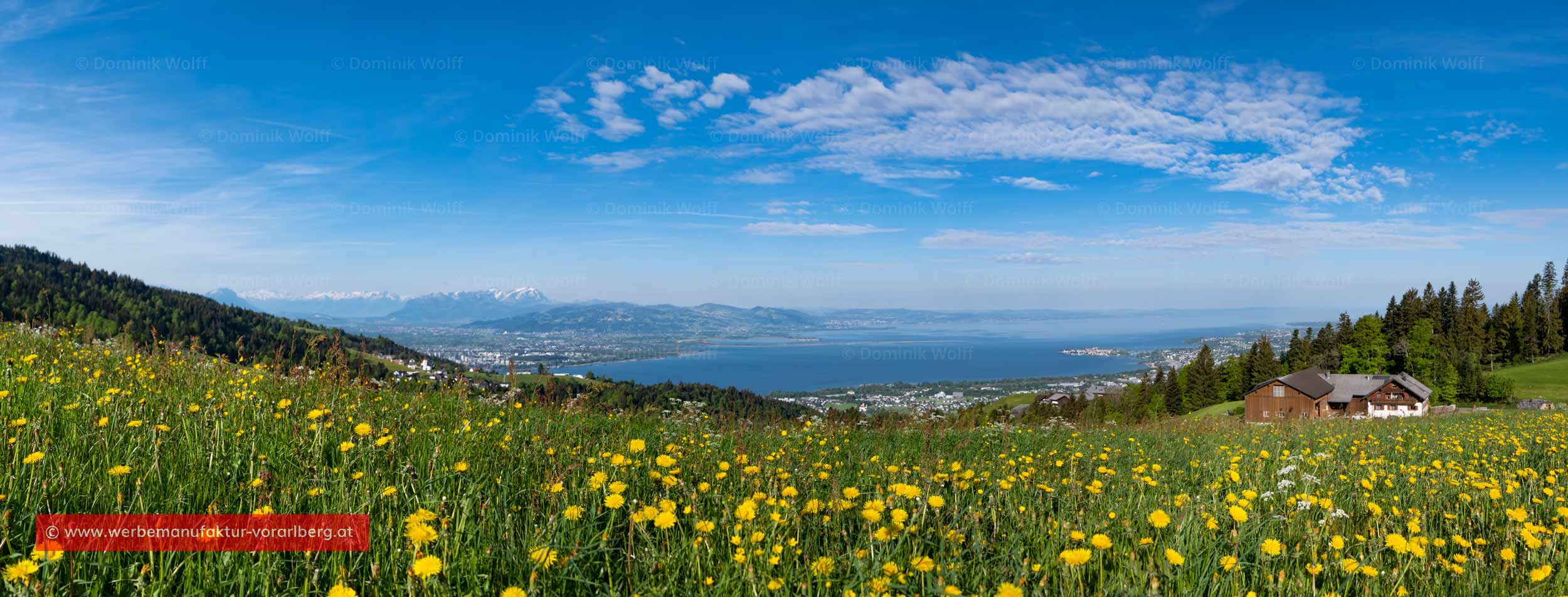 See- und Bergpanorama vom Pfänderstock