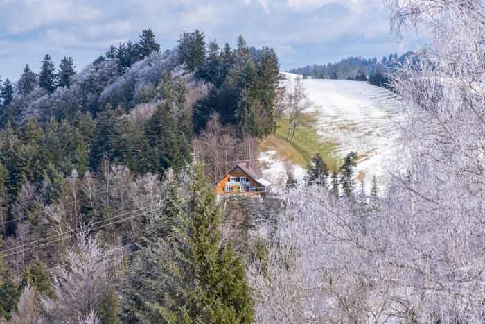 Pfänder-Gasthaus Moosegg