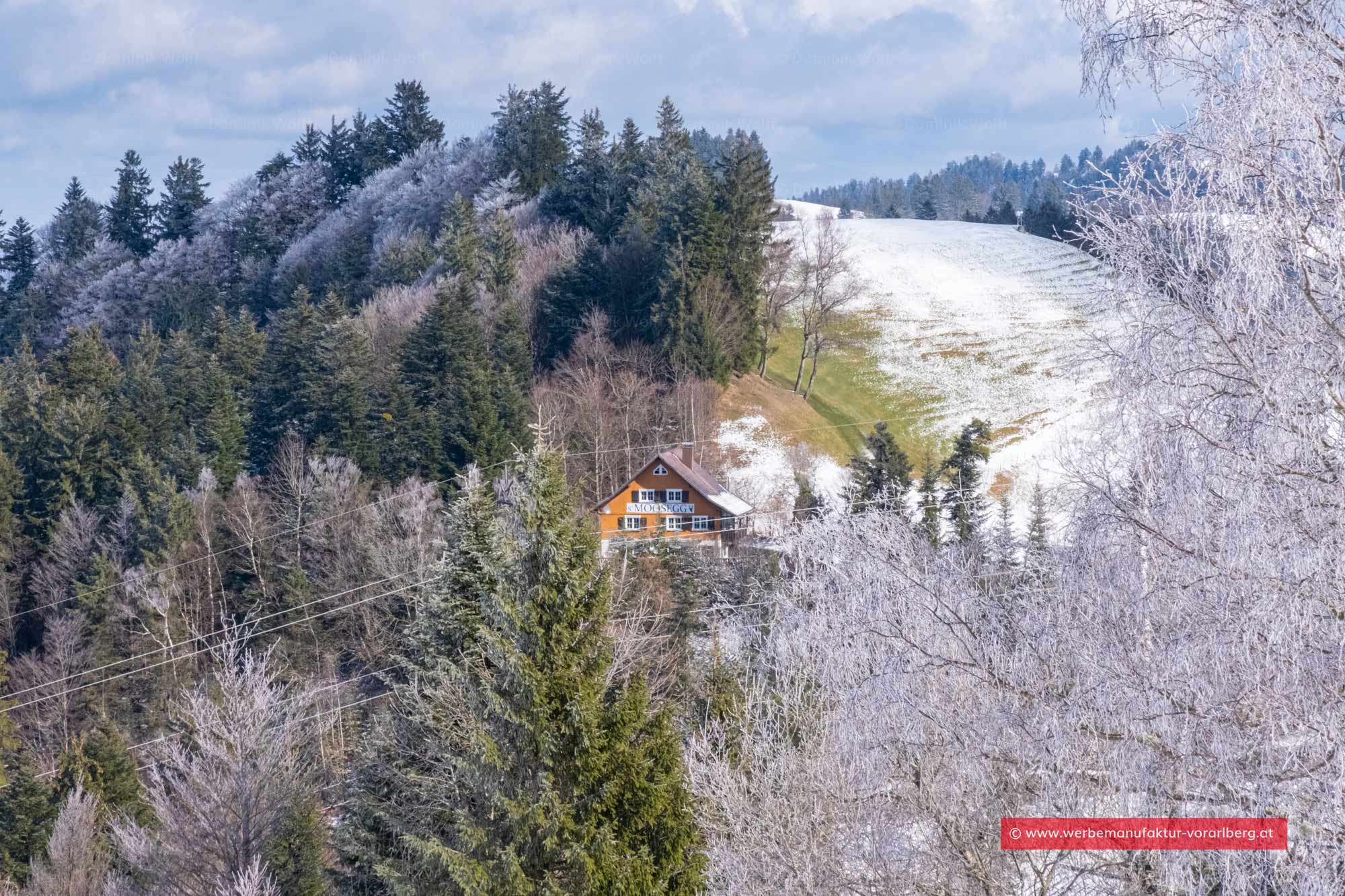 Bild + Foto - Gasthaus Moosegg am Pfänder