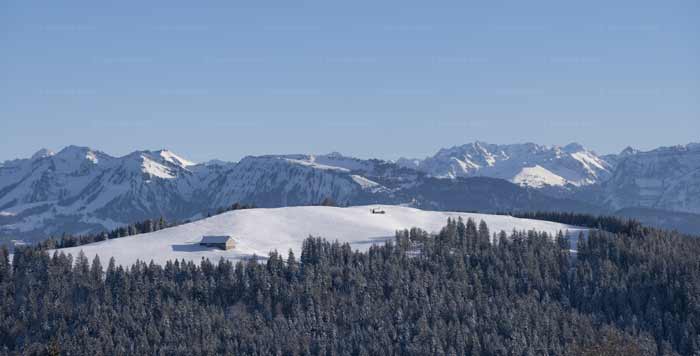 Hirschberg, Hochberg und Pfänder