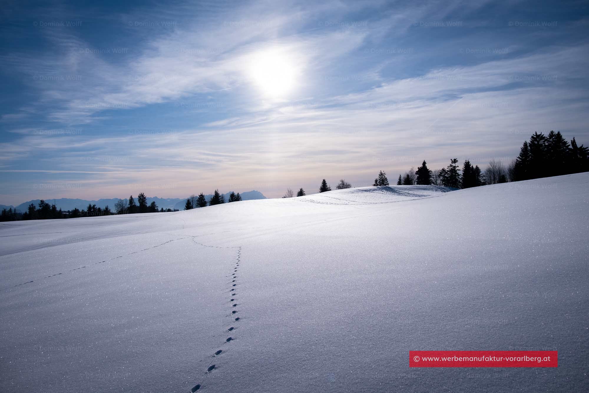 Bild + Foto - Winter auf dem Hochberg in Vorarlberg