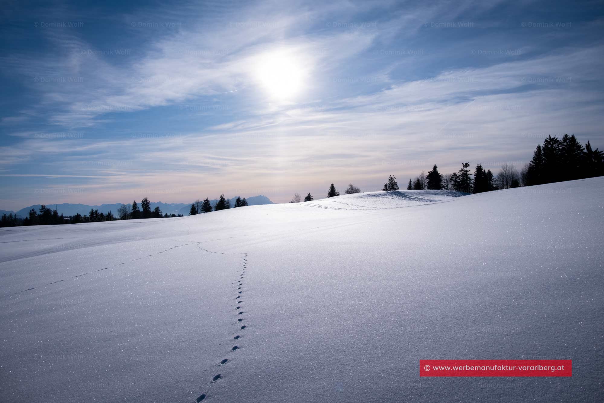 Winter auf dem Pfänderrücken