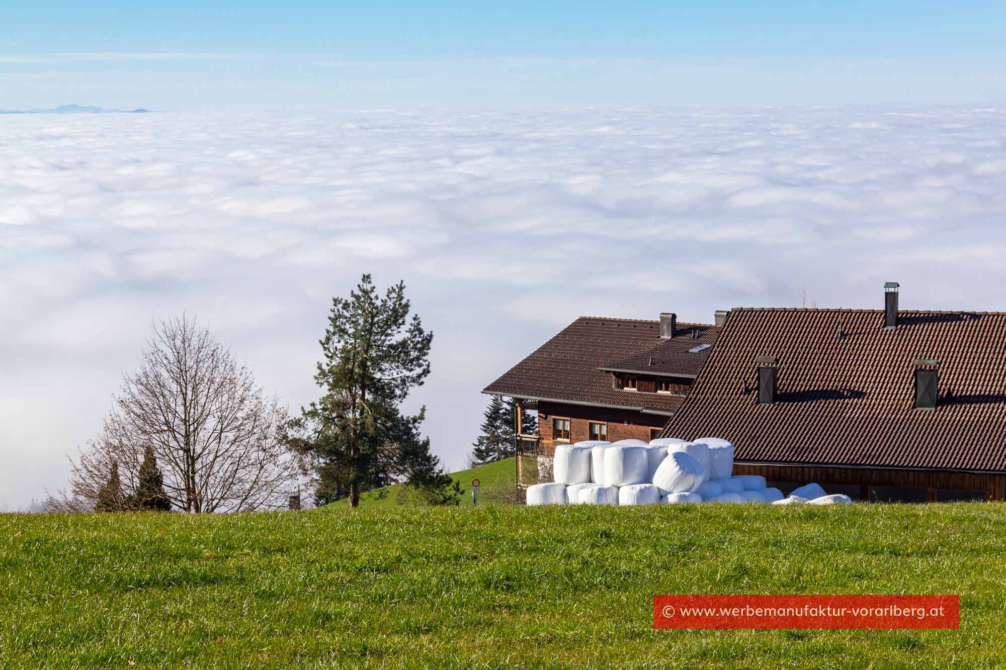 Pfänder über den Wolken