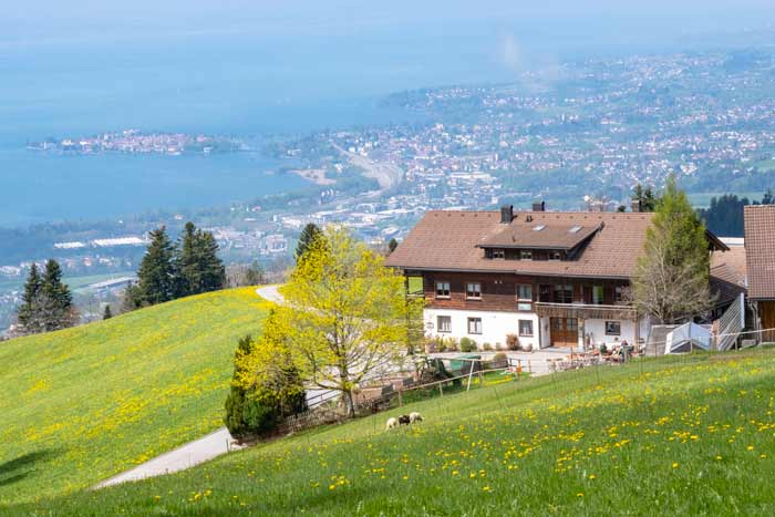 Pfänderblick auf Lindau