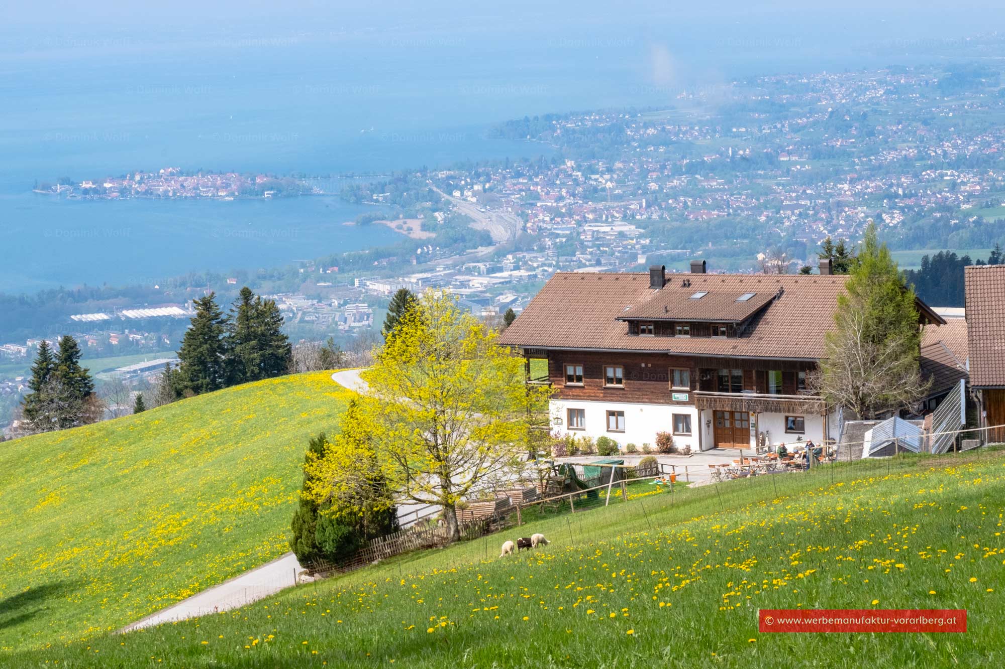 Pfänderblick auf Lindau