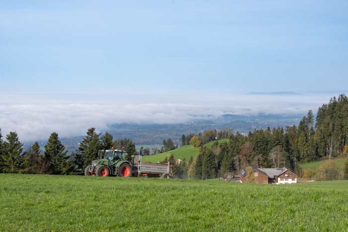 Almwirtschaft am Pfänder