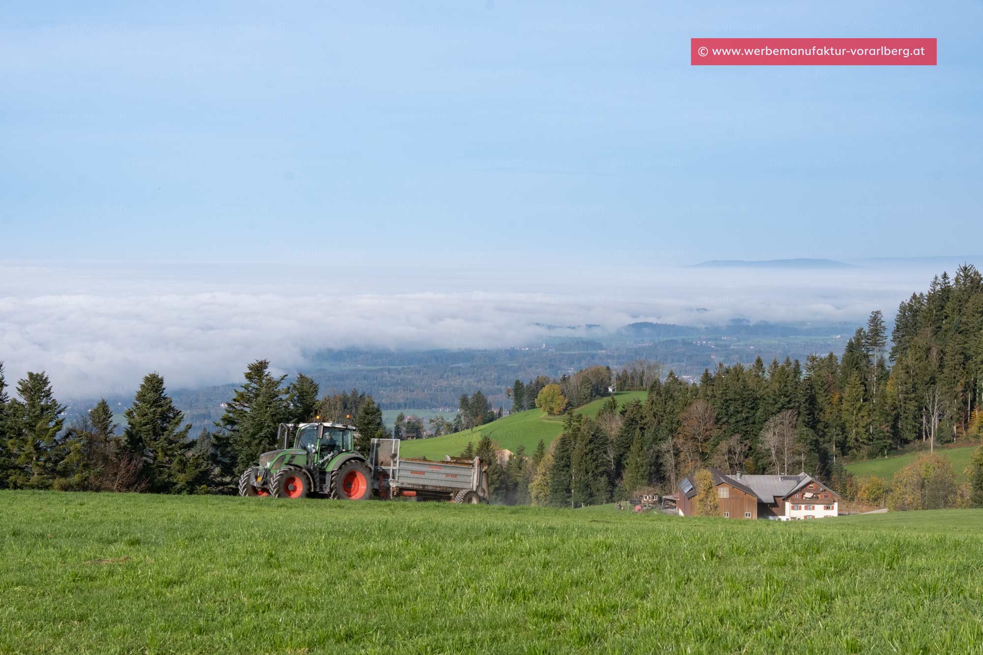 Bild + Foto - Weidewirtschaft am Pfänderrücken