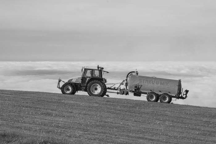 Landwirtschaft am Pfänder