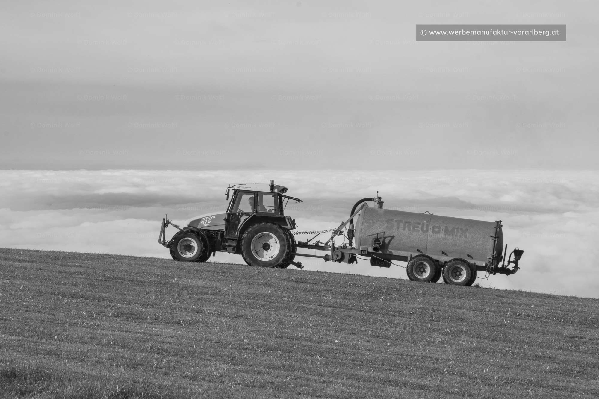 Landwirtschaft am Pfänder