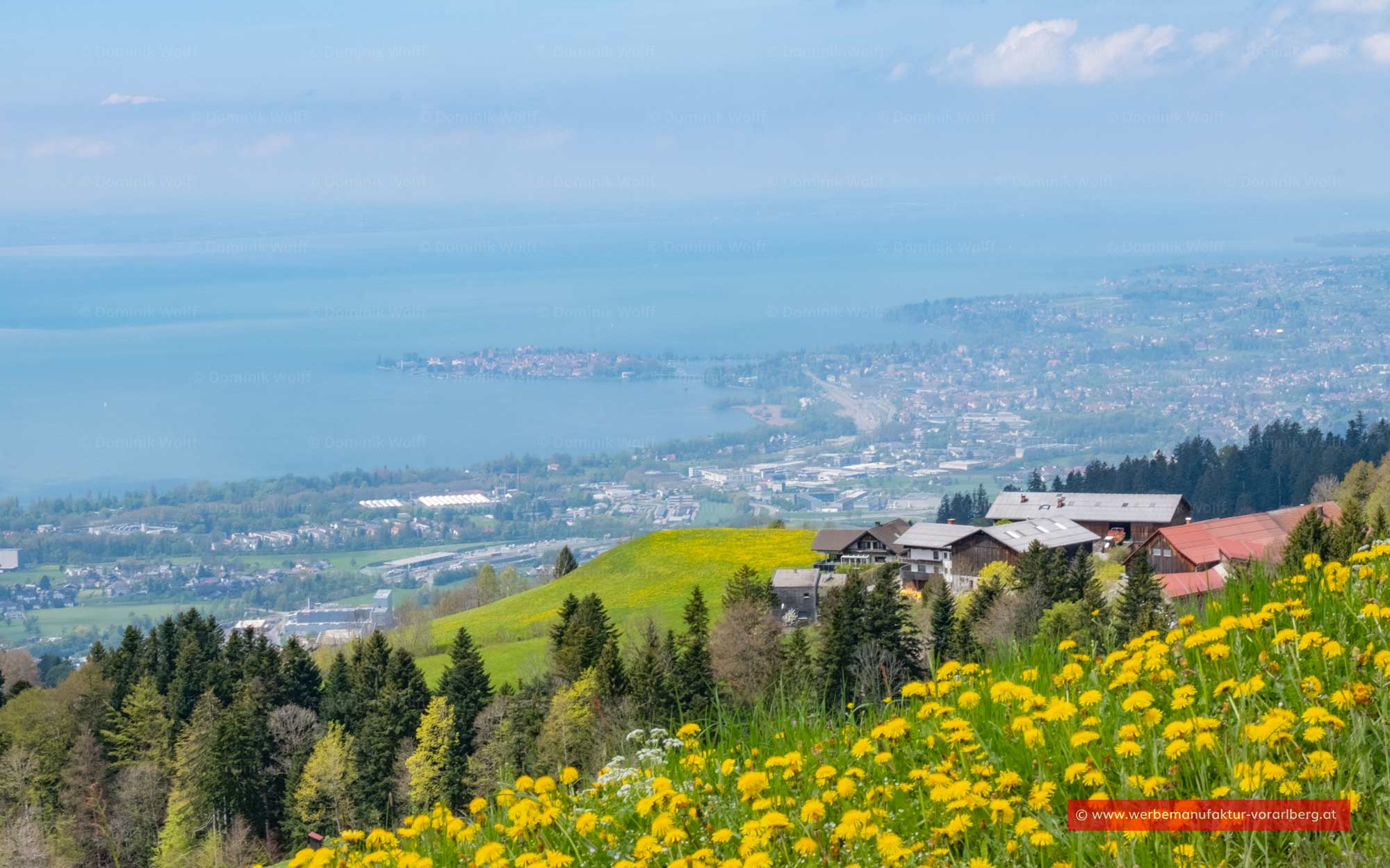 Bild + Foto - Bergdorf Lutzenreute in Vorarlberg