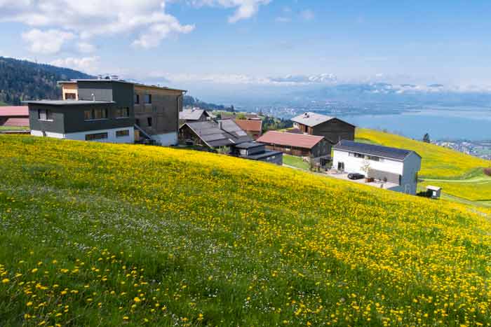 Bergfrühling auf dem Pfänder