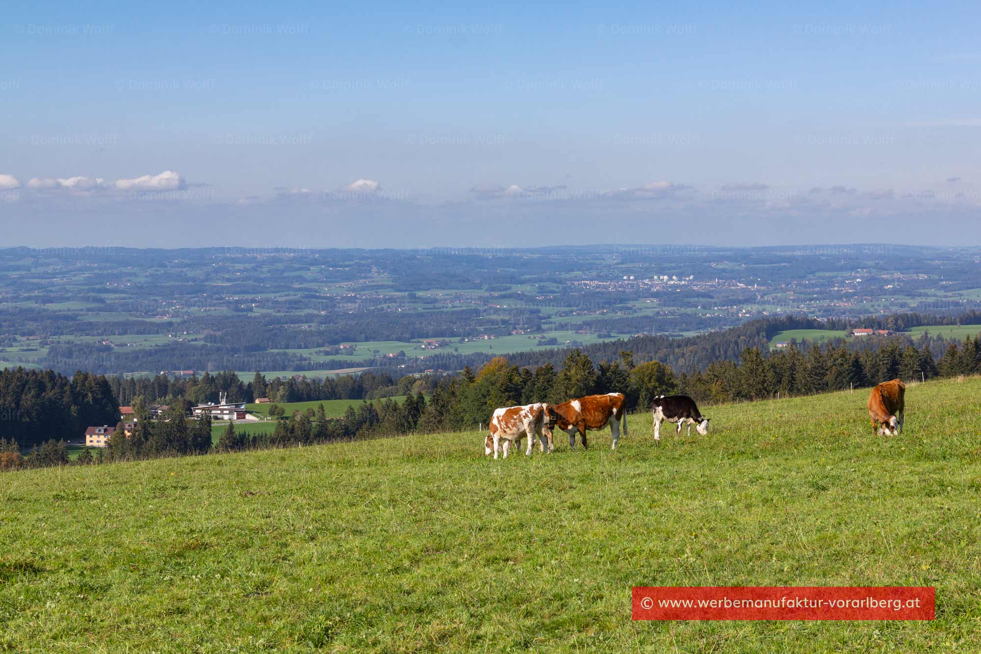 Pfänderrücken in Richtung Nordwest