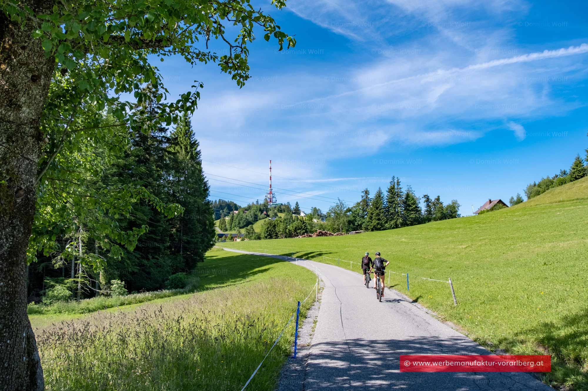 Bild + Foto - Moos / Moosegg am Pfänder