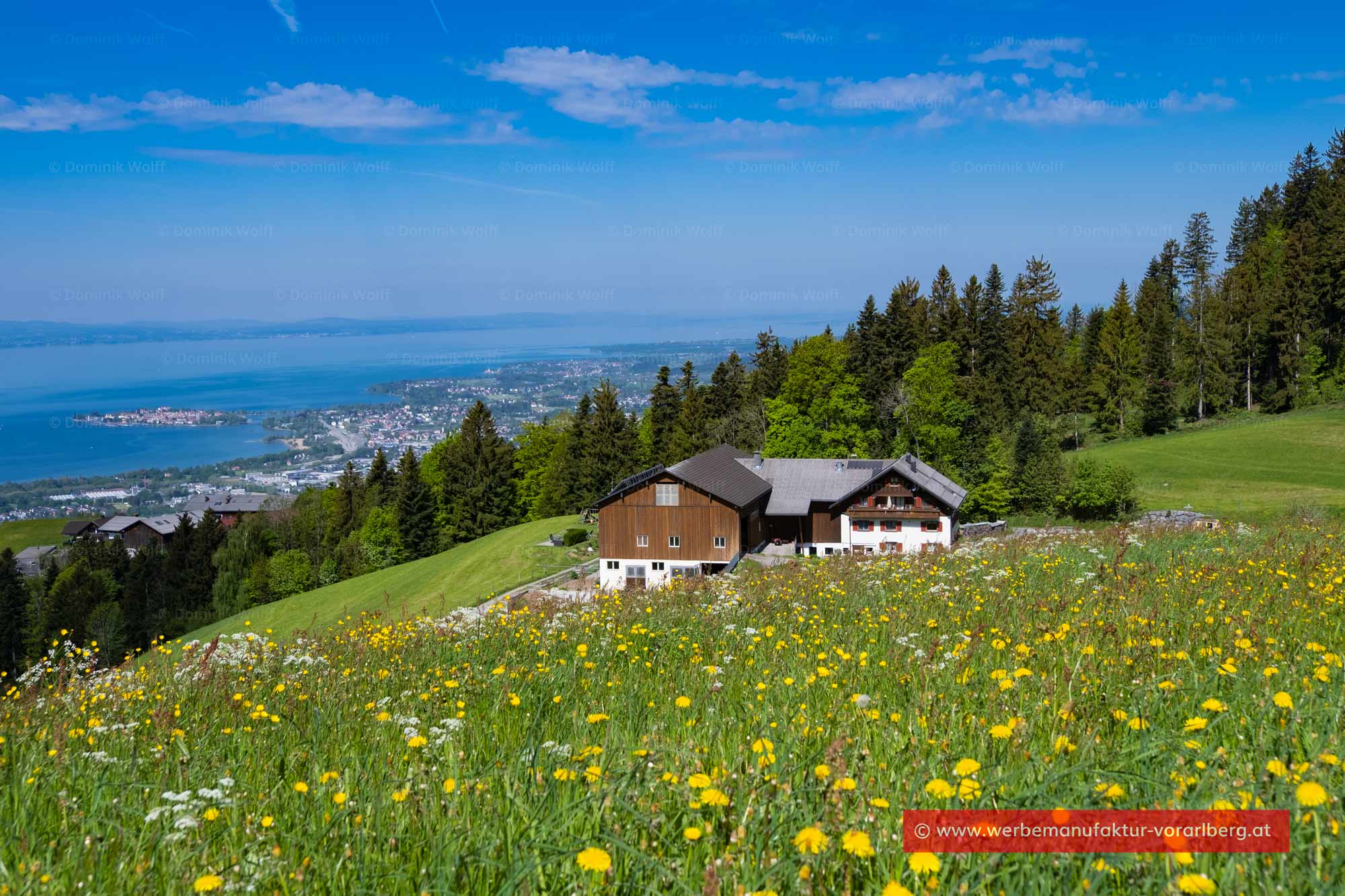 Bild + Foto - Mühlenhof in Eichenberg - Lutzenreute