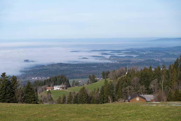 Nebel unterhalb des Pfänders