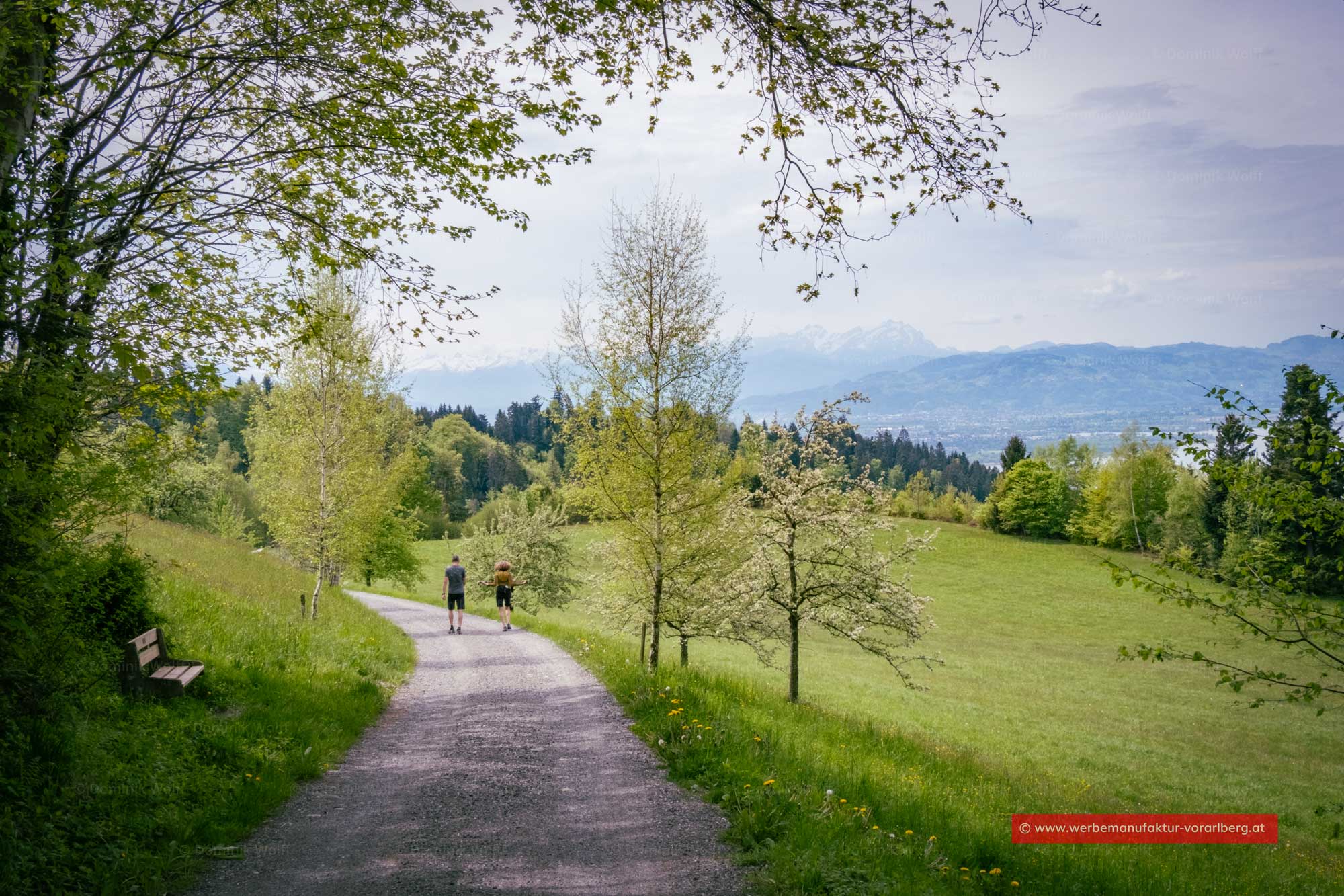 Pfänder-Wanderweg Niederhaus